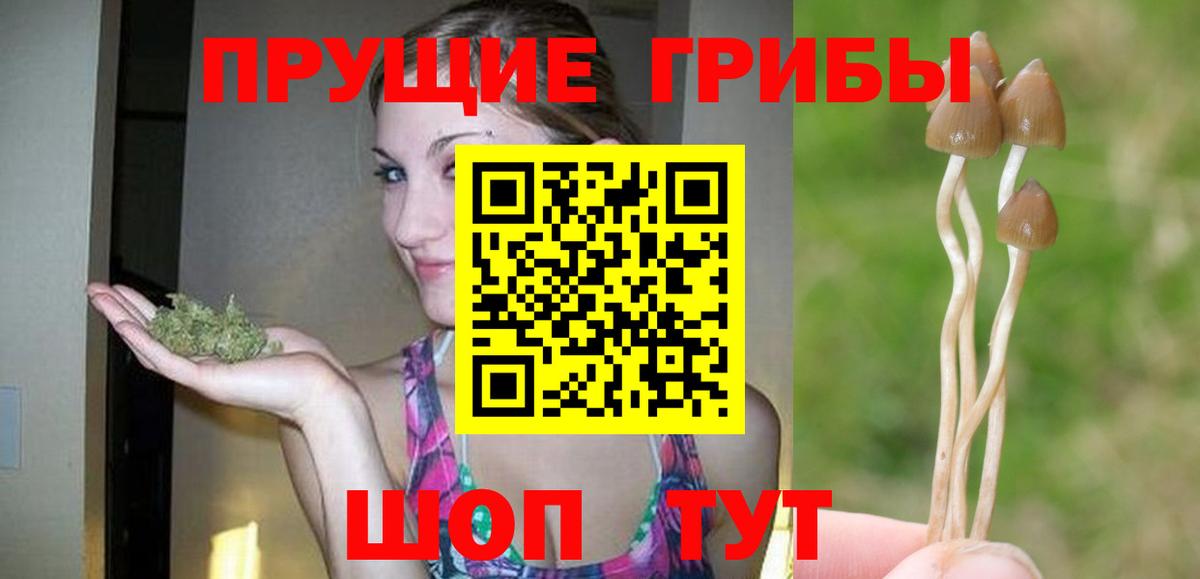 Ковров  Галлюциногенные грибы мухоморы  Вход с VPN 