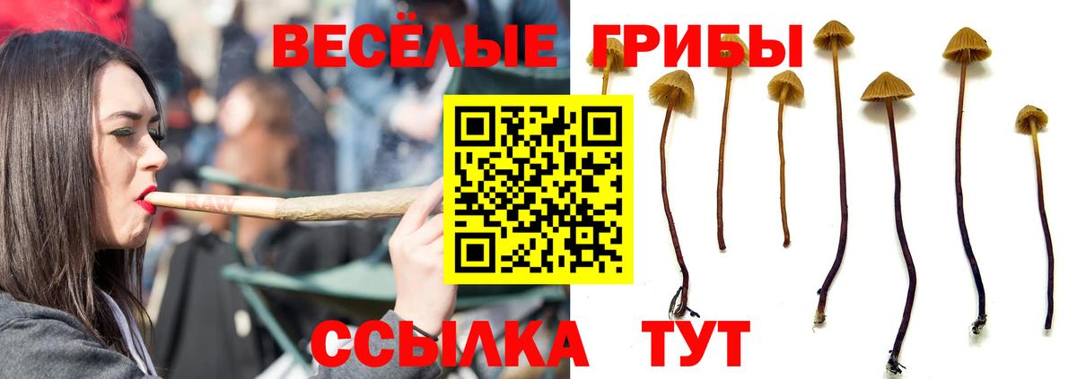 Галлюциногенные грибы прущие грибы Ковров